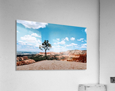 Bryce Canyon V Acrylic Print