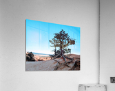 Bryce Canyon IV Acrylic Print