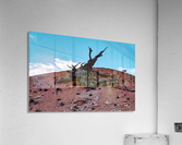 Bryce Canyon I Acrylic Print