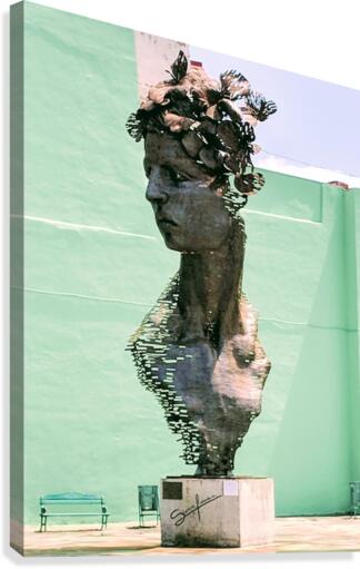 Havana I Canvas Print