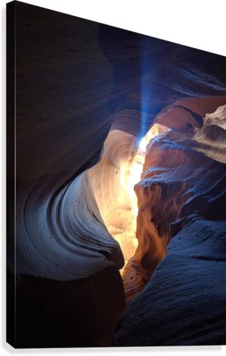A Light in the Dark Canvas Print