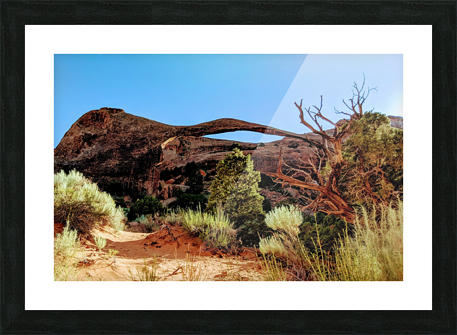 Landscape Arch I Picture Frame print