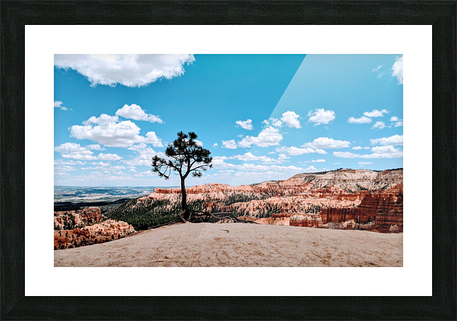 Bryce Canyon V Picture Frame print