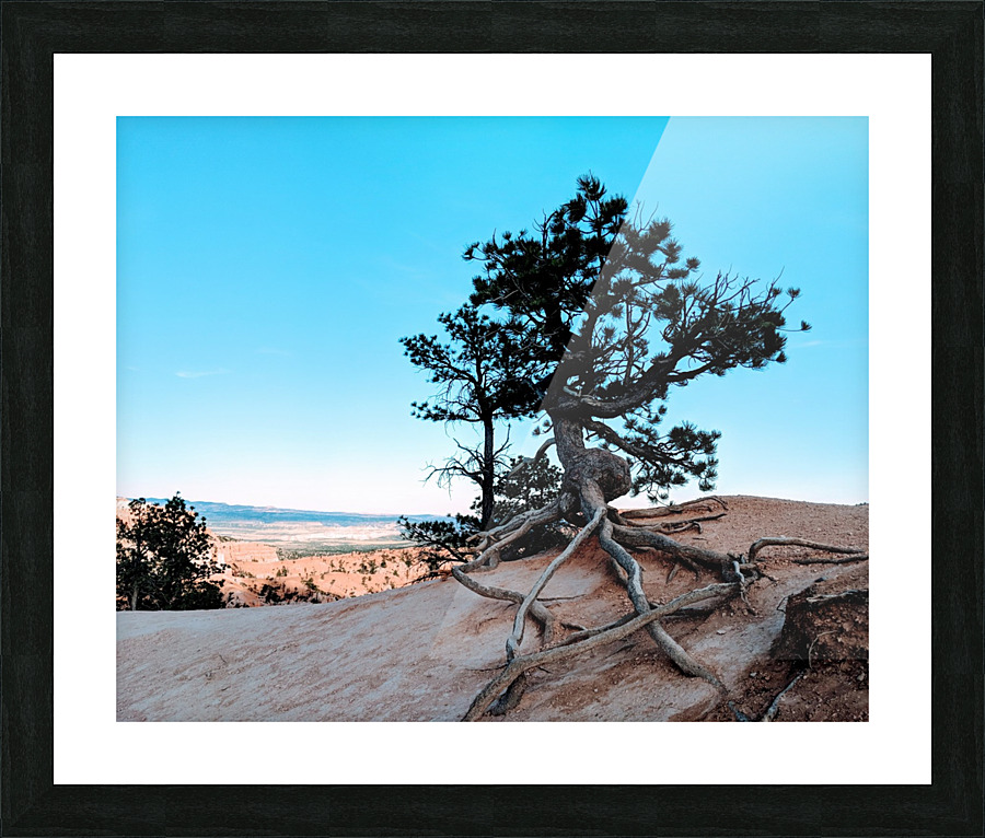 Bryce Canyon IV Picture Frame print