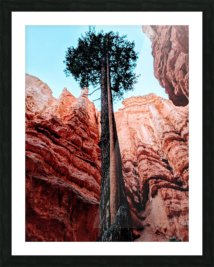 Bryce Canyon II Picture Frame print