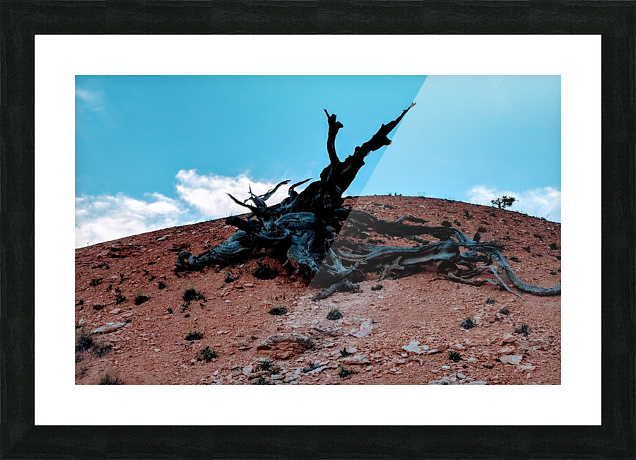 Bryce Canyon I Picture Frame print