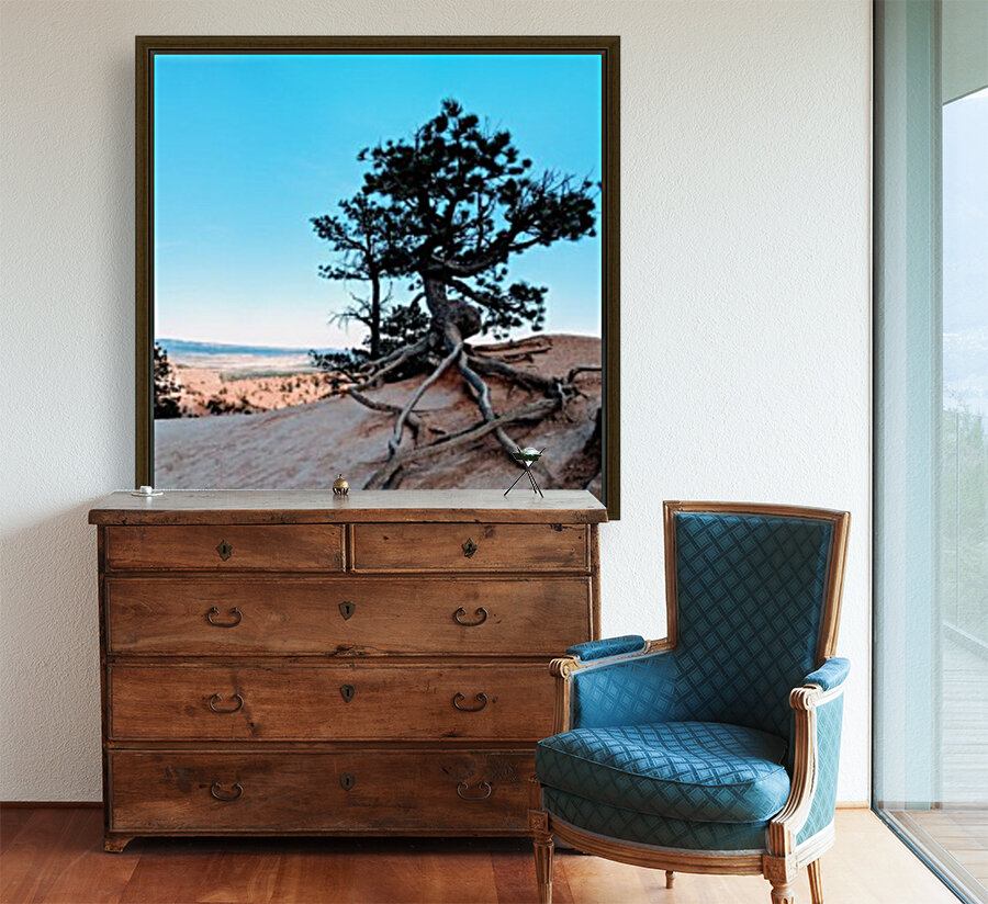 Bryce Canyon IV Reproduction