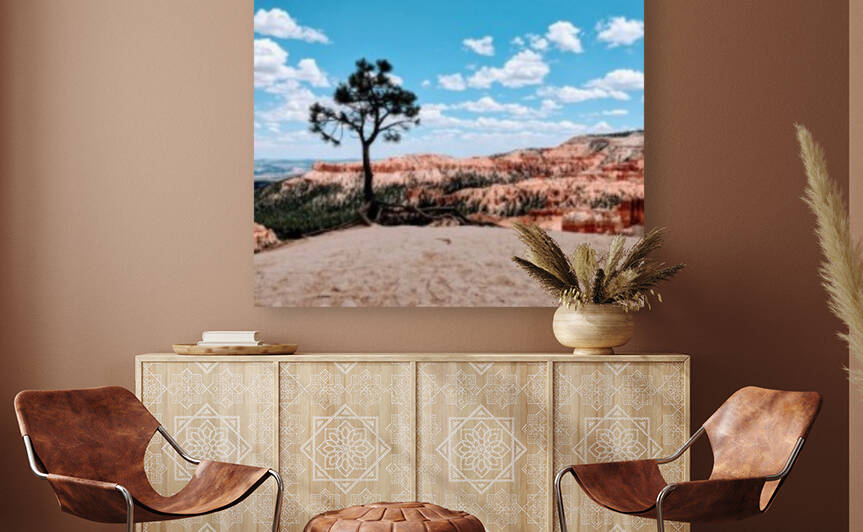 Bryce Canyon V Reproduction