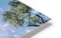 Zion Catching Rays HD Metal print