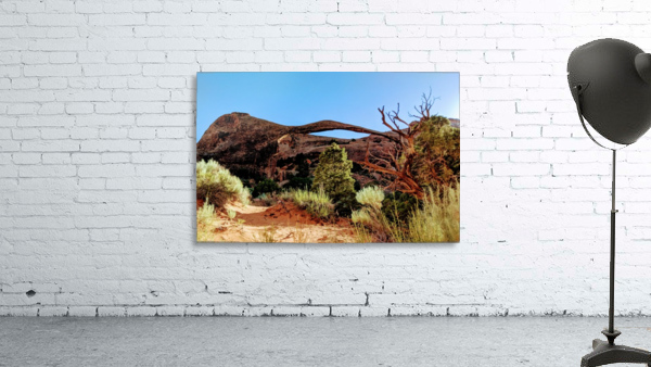 Landscape Arch I Wall Preview