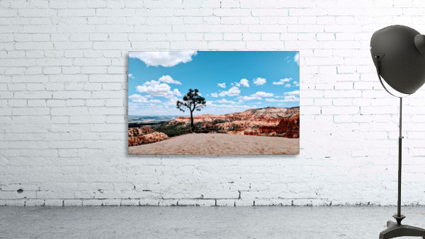 Bryce Canyon V Wall Preview