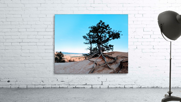 Bryce Canyon IV Wall Preview