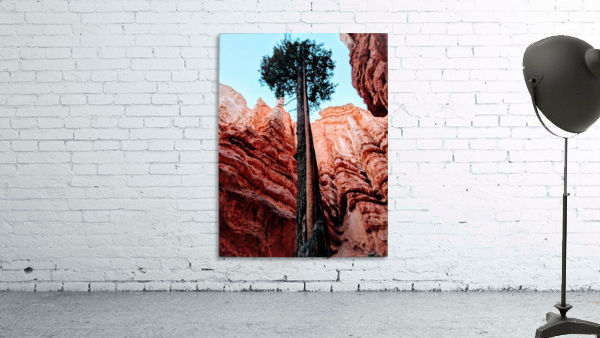 Bryce Canyon II Wall Preview
