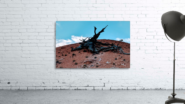 Bryce Canyon I Wall Preview