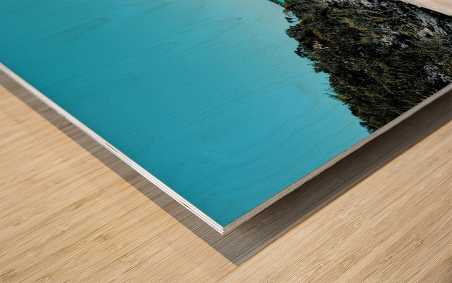 Uncharted Waters Wood print