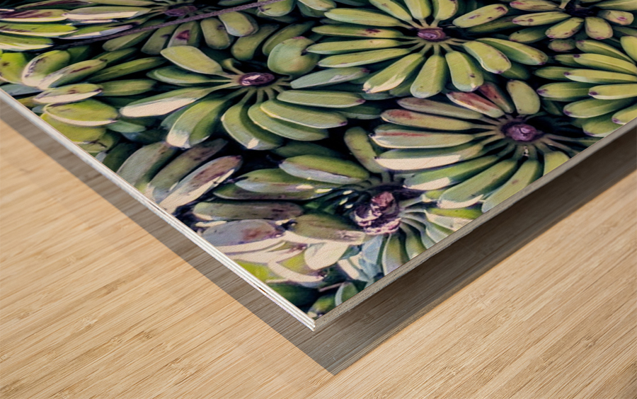 Havana III Wood print