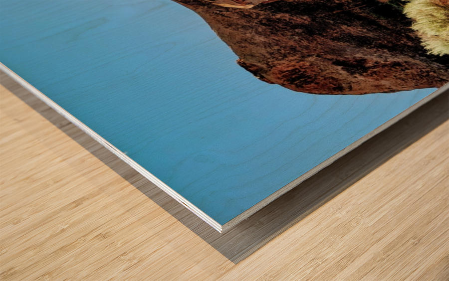 Landscape Arch I Wood print