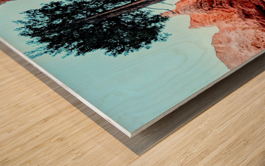Bryce Canyon II Wood print