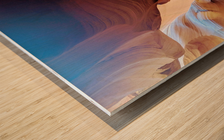 Sunkissed I Wood print