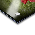 Pretty Acrylic print