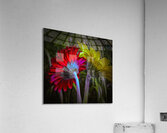 Breaking Up Acrylic Print