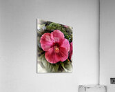Pretty Acrylic Print