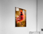 How s This Side Acrylic Print