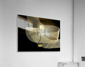 For The Ladies Acrylic Print
