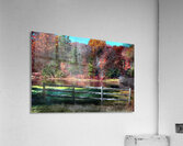 What A View Acrylic Print