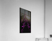 Lets Party Acrylic Print