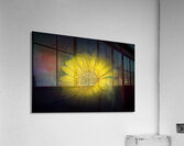 Something Special Acrylic Print