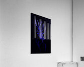 In Line Acrylic Print