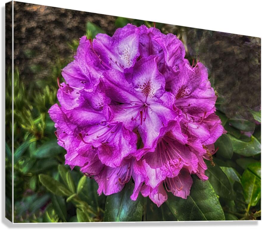 It Makes Me Smile Canvas Print