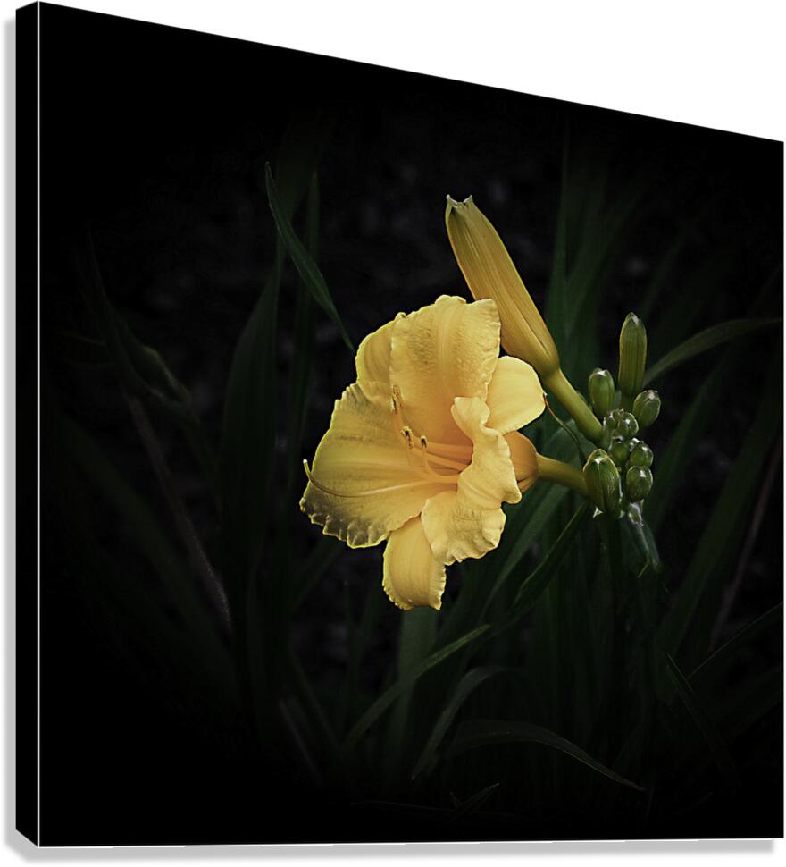 ALL MY LOVE Canvas Print