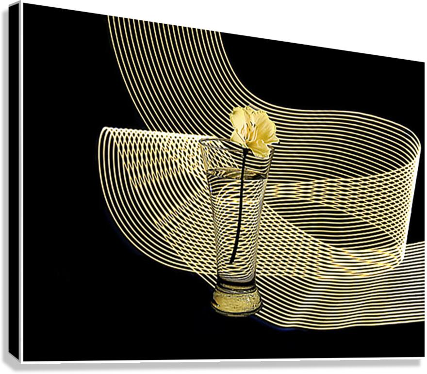For The Ladies Canvas Print