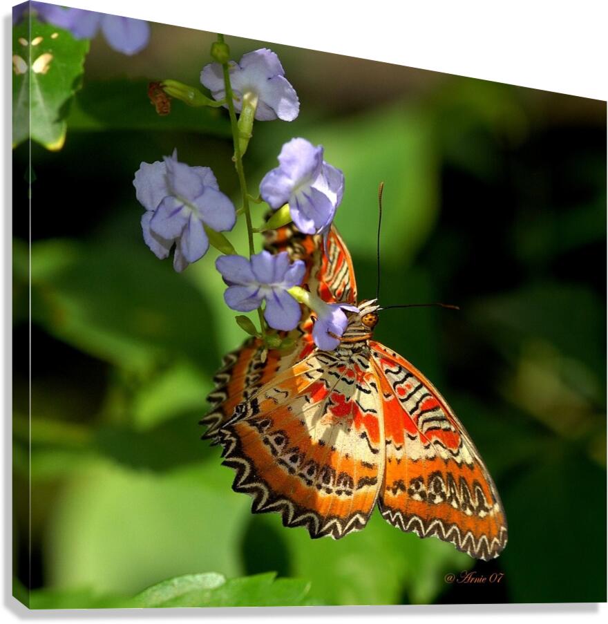 From Heaven Canvas Print