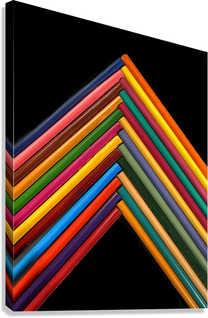 To The Point Canvas Print