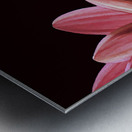 So Beautiful Metal print