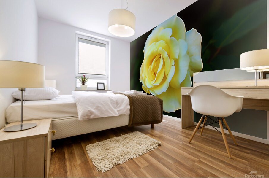 Innocense Mural print