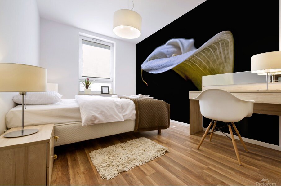 Plain  Simple Mural print