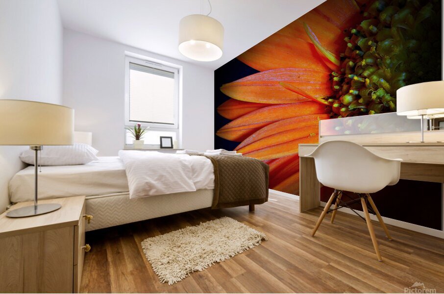 Orange Delight Mural print