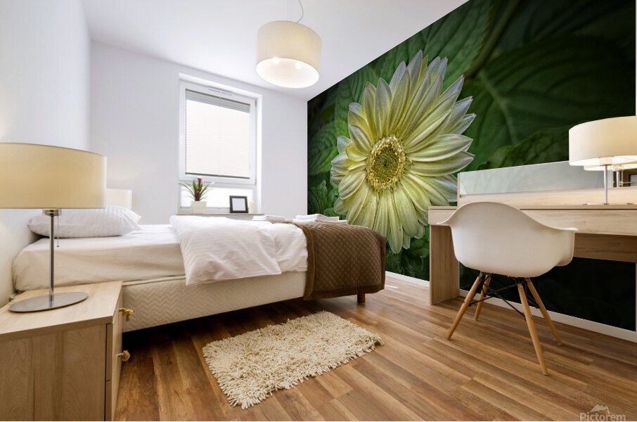Bold Beautiful Mural print