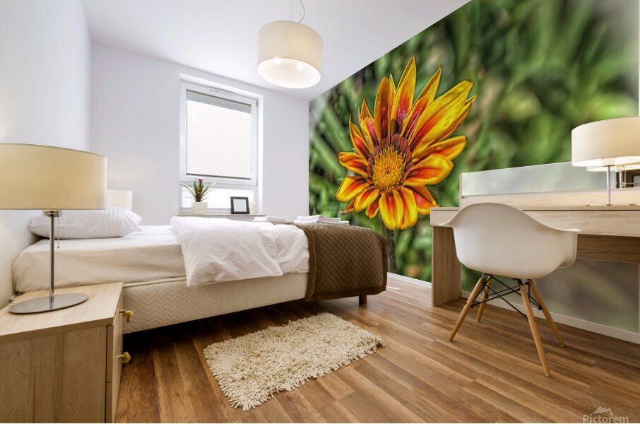 So Vibrant Mural print