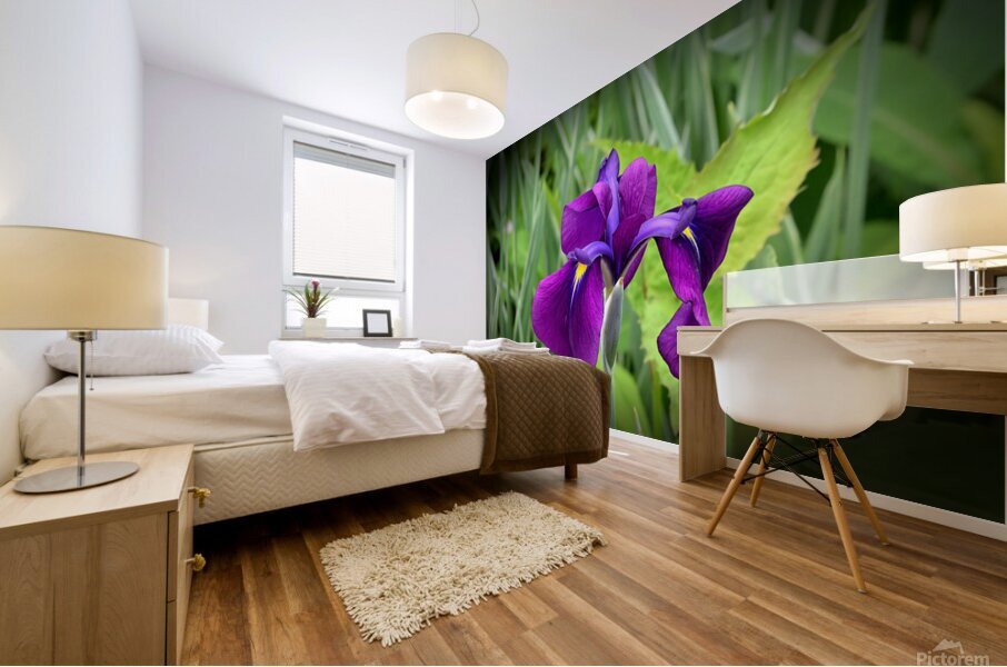 Droopy Mural print