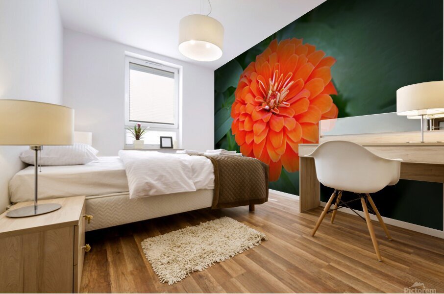 So Plush Mural print