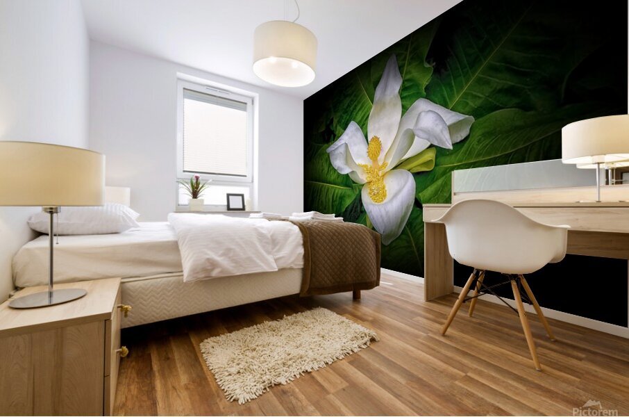 PLAIN and SIMPLE Mural print