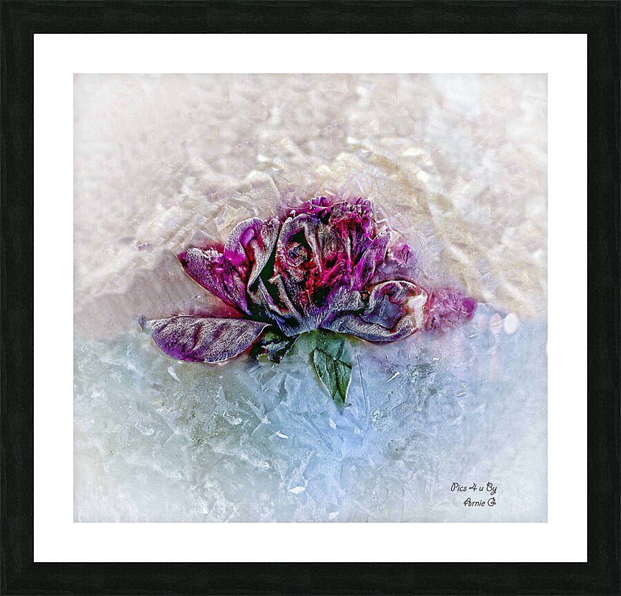 FROZEN IN TIME Picture Frame print