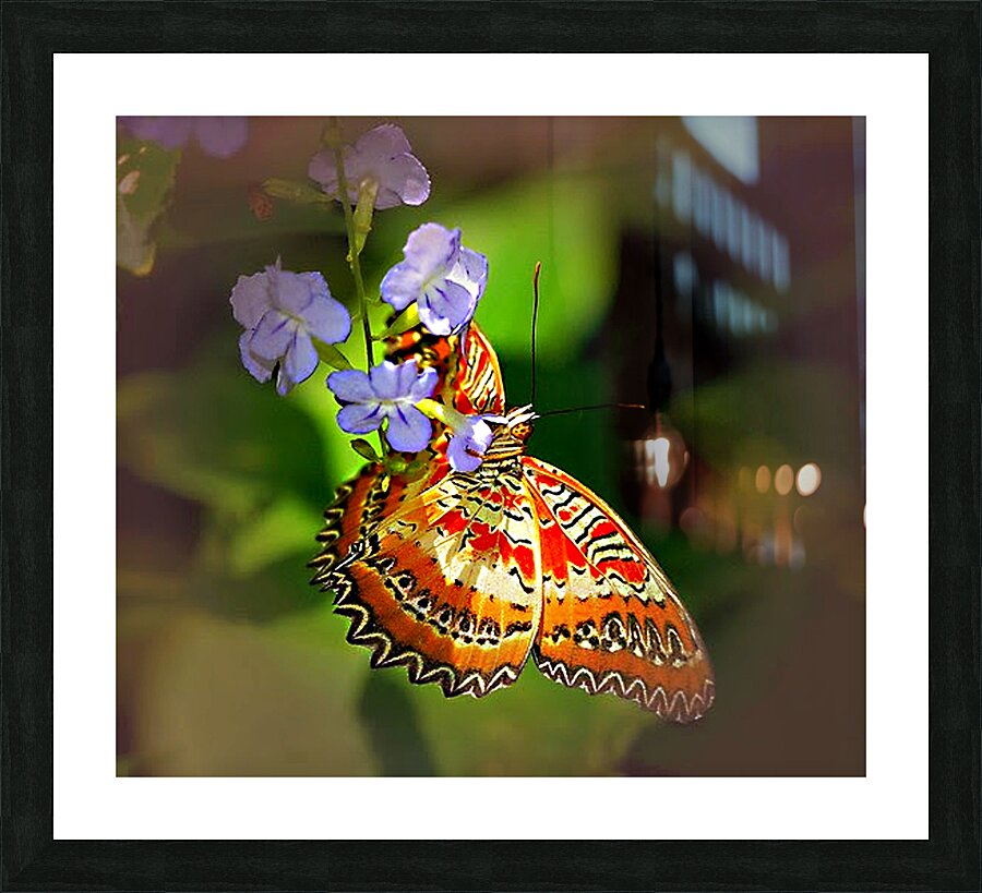Snack Time Picture Frame print