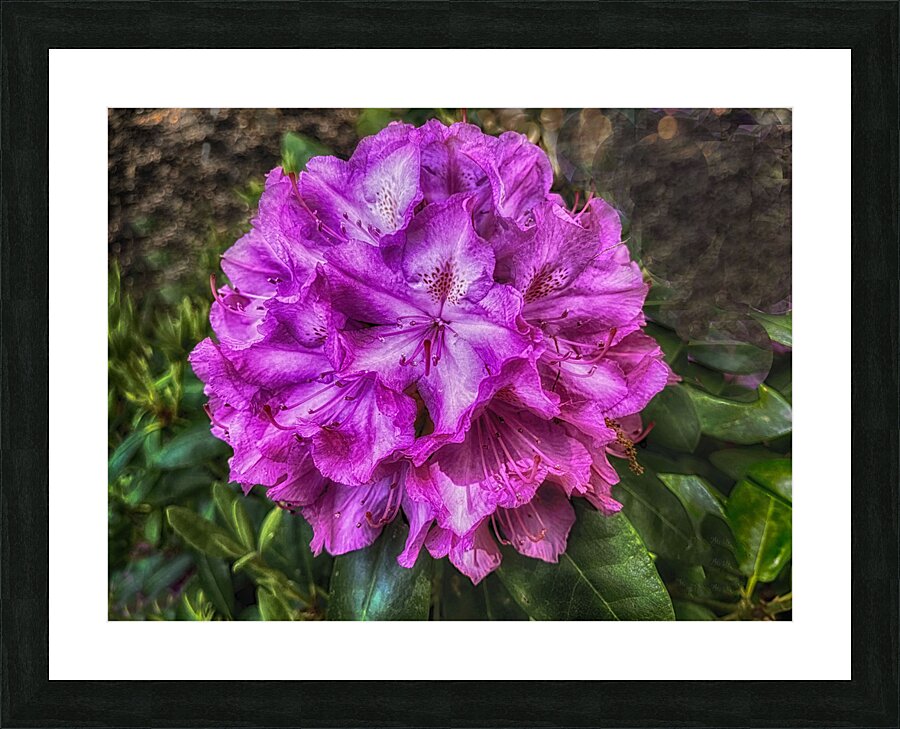 It Makes Me Smile Picture Frame print