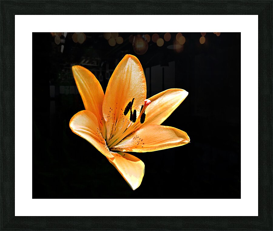 A Beauty Picture Frame print